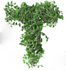 stock-photo-green-alphabet-made-of-trees-and-leafs-seasonal-summer-letters-212714947-004