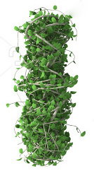 stock-photo-green-alphabet-made-of-trees-and-leafs-seasonal-summer-letters-212714947-006