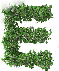 stock-photo-green-alphabet-made-of-trees-and-leafs-seasonal-summer-letters-212714947-008