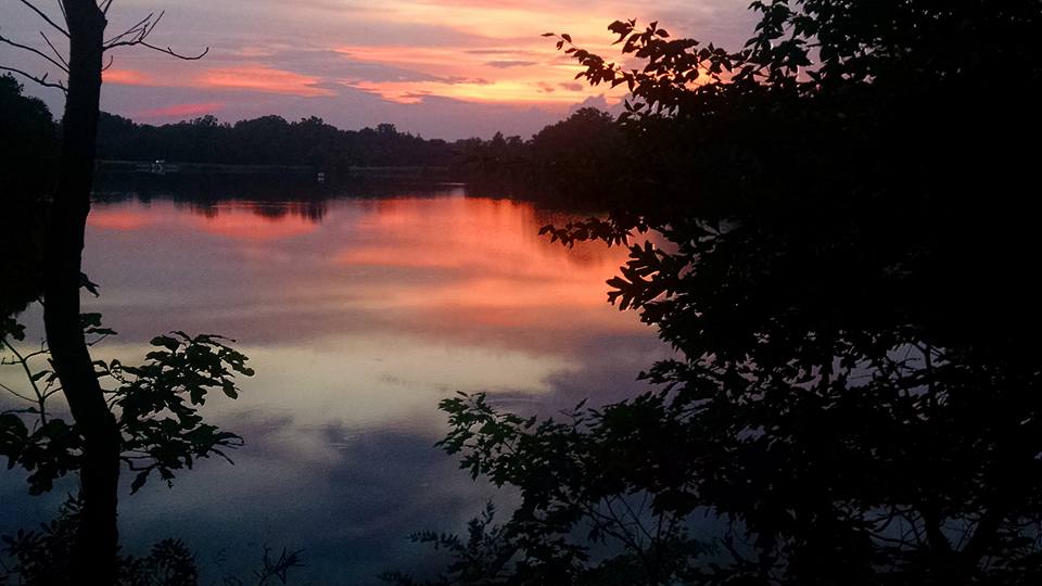 13781873_10154457451531349_5852047883150371185_n