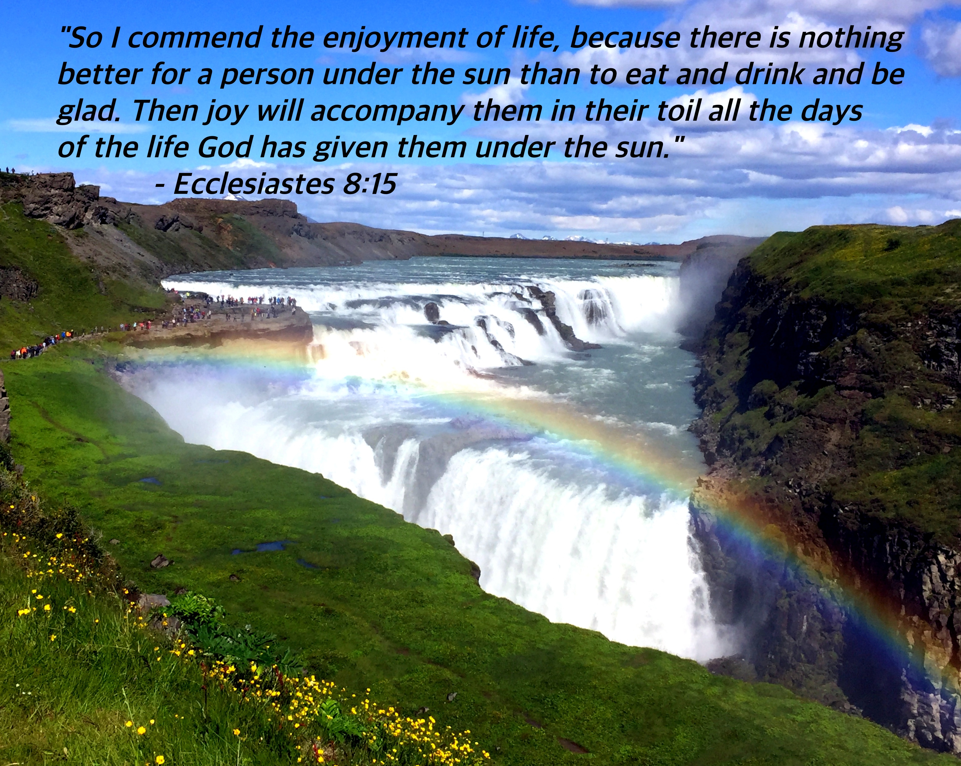 The Rhythm of Life.jpg