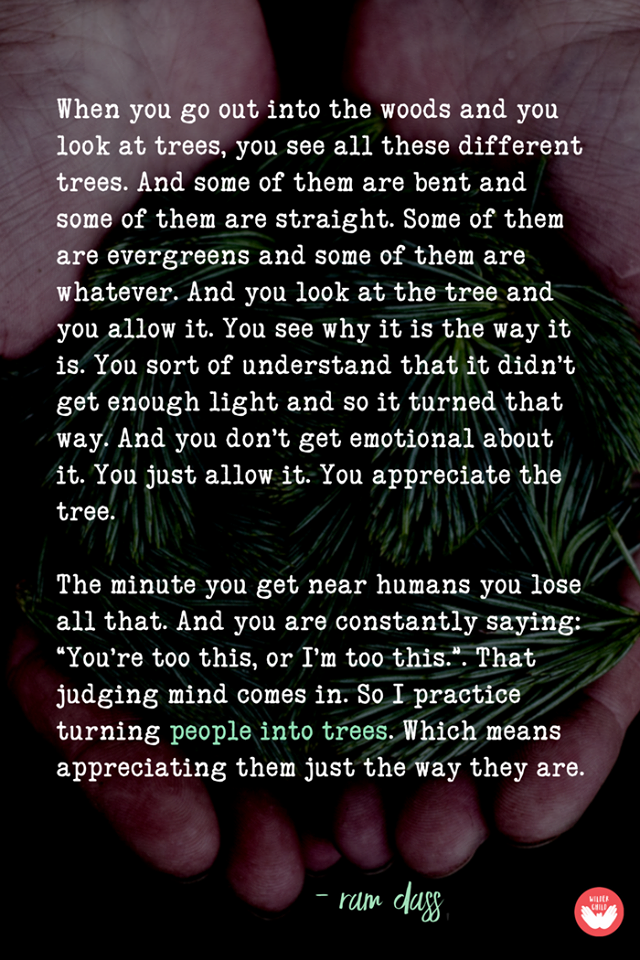 32376696_1996321867068805_1715786649603932160_n