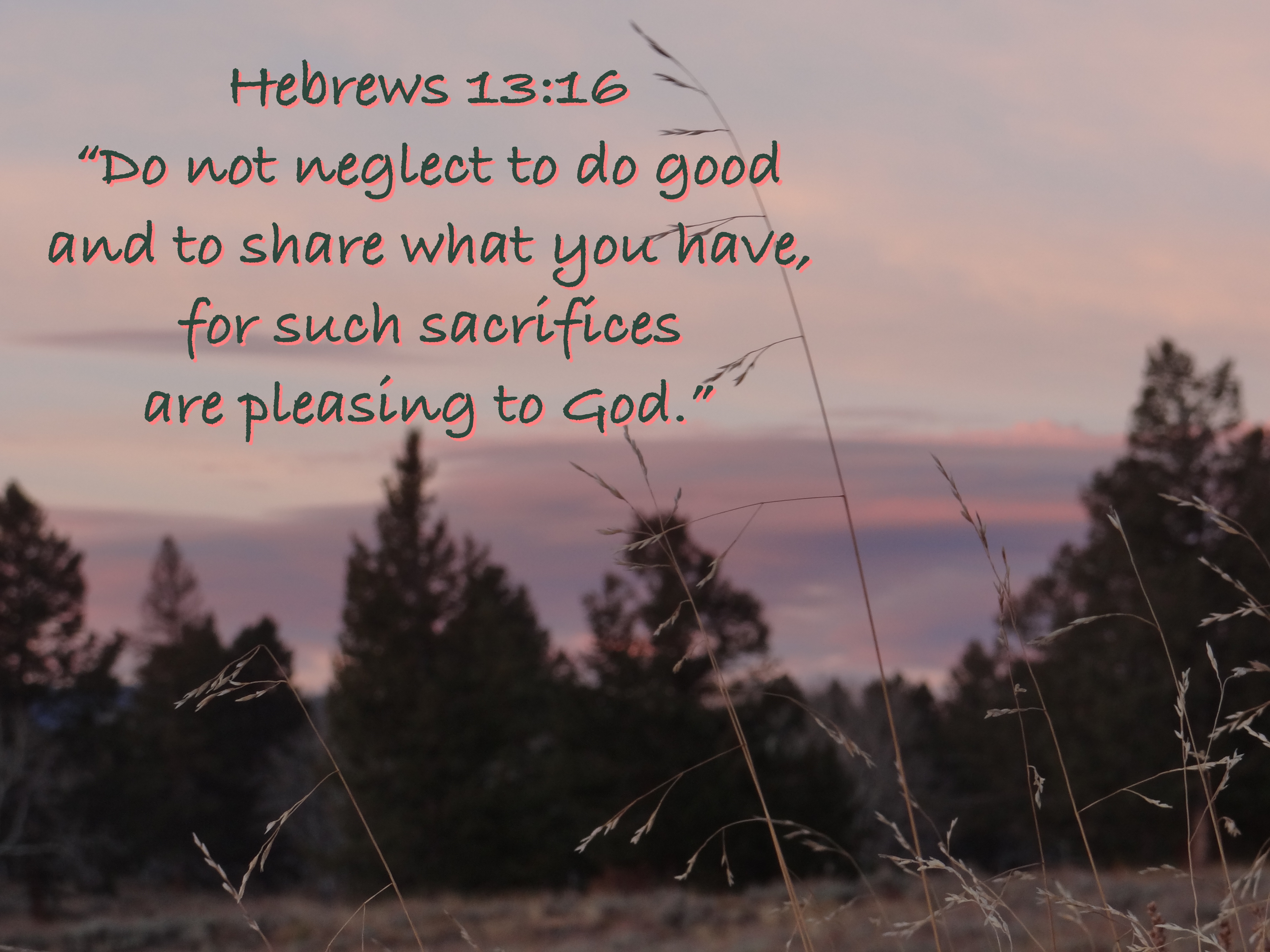 Hebrews 13-16