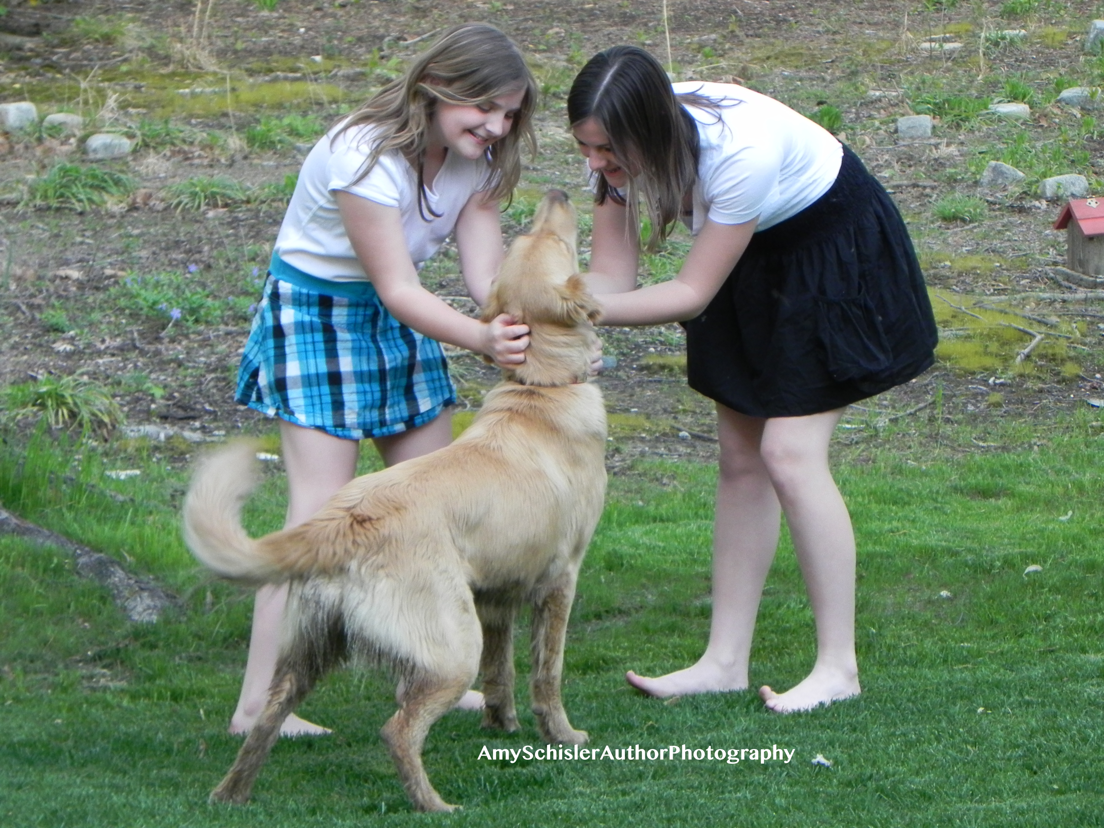 Misty greets with Joy