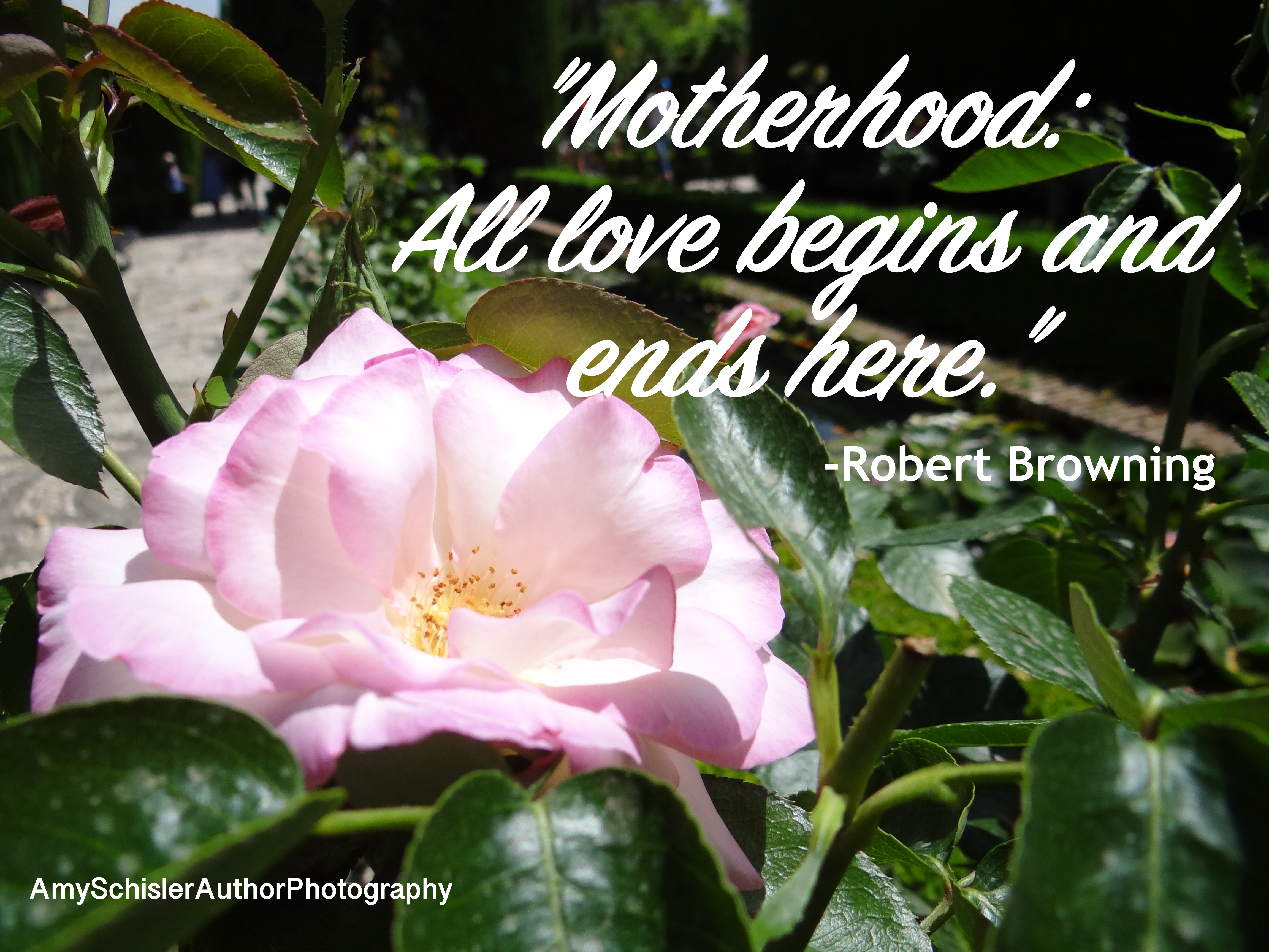 Motherhood - Browning.jpg