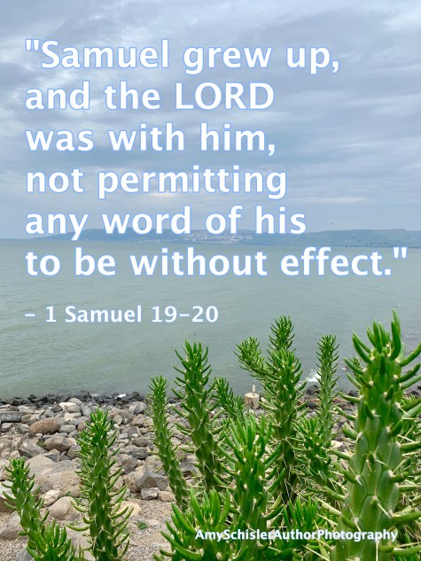 1 Samuel 19-20.jpg