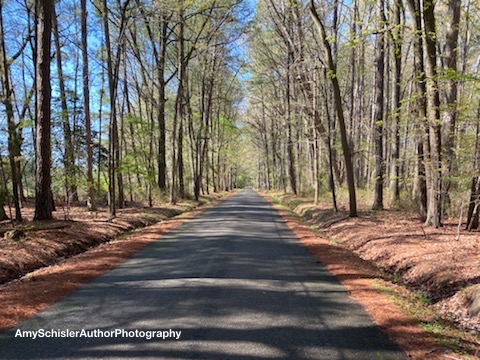 2020 deserted road