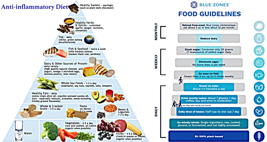 anti-inflammatory and blue zone diets