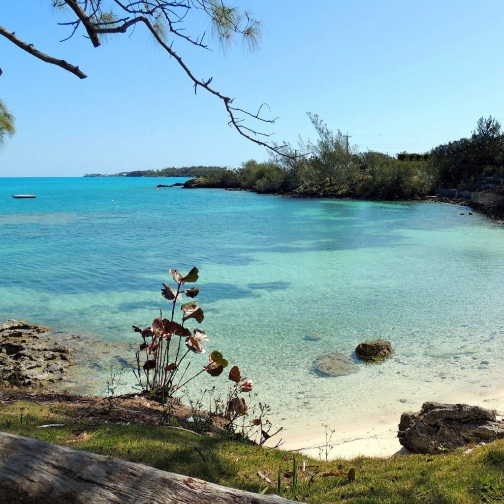 Secluded Beach