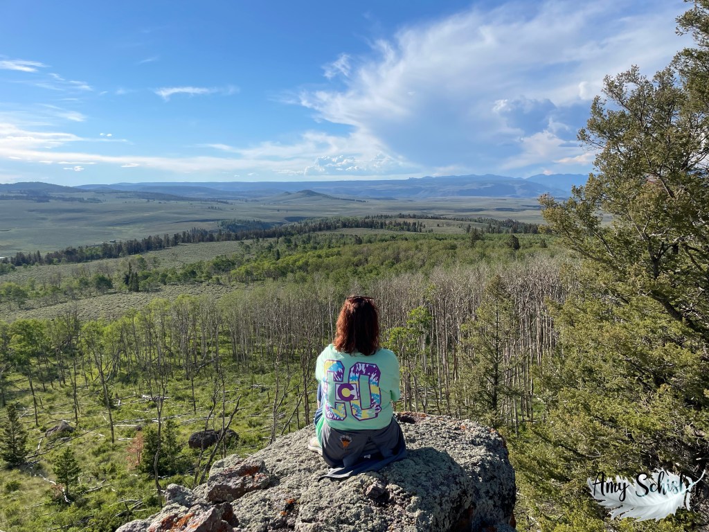 The View from Cat's Den