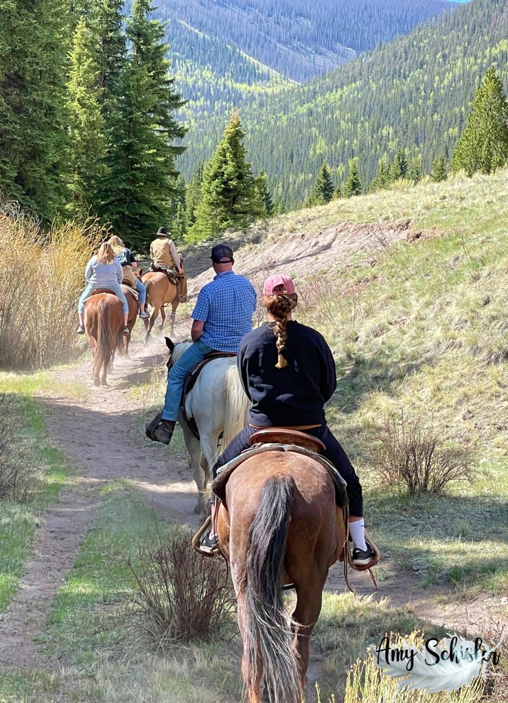 Horseback riding in the mountains