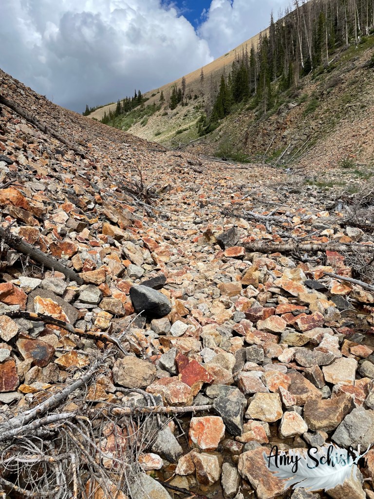 Rocks and limbs blocking the way