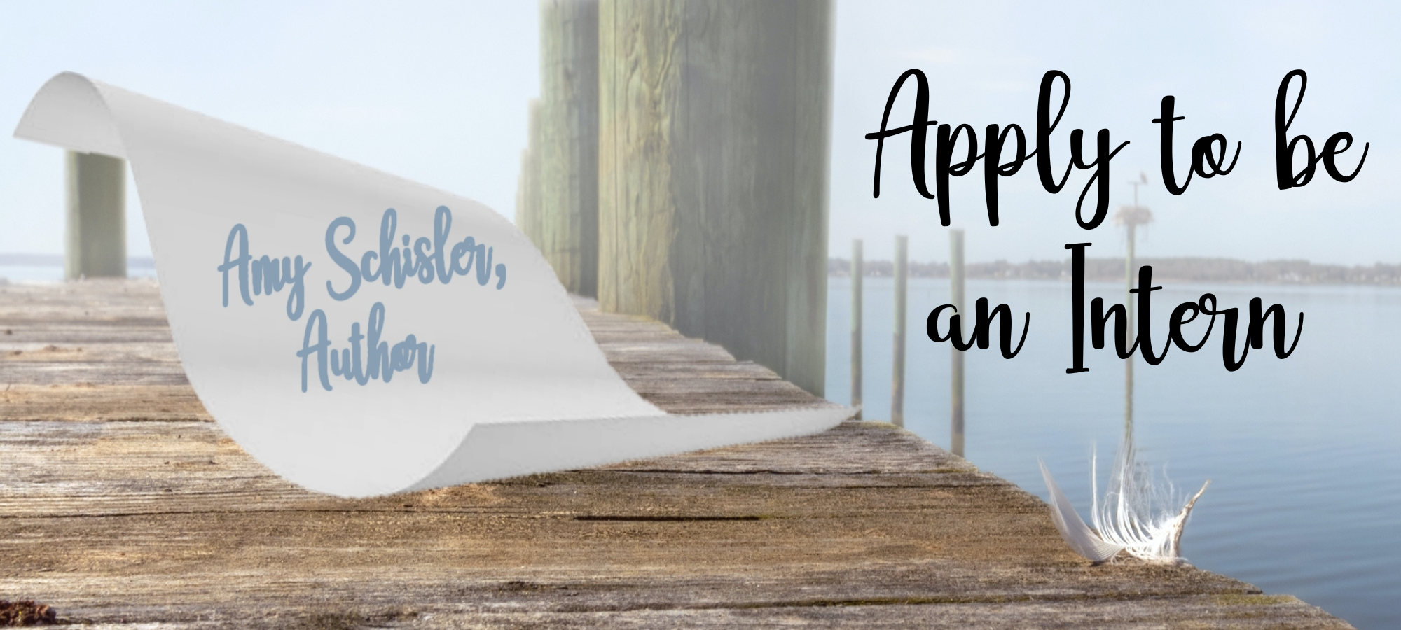 Apply for a Social Media and Marketing Internship