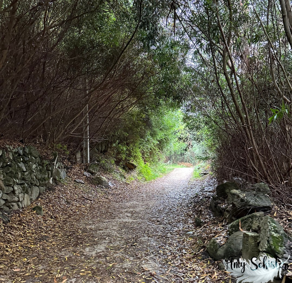 Opening Our Eyes to the Truth