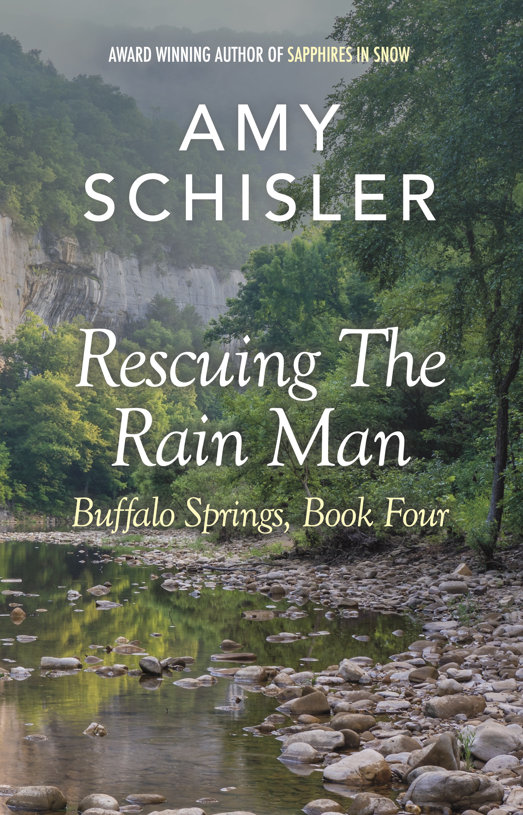 Rescuing the Rain Man Book Cover